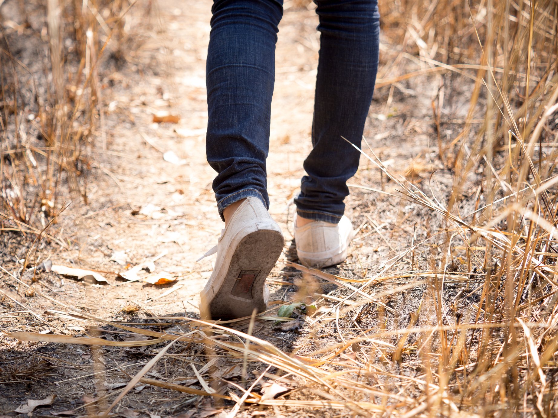 legs of young woman hipster wears jeans walking in meadow forest, freedom lifestyle on vacation, holiday, journey for hipster concept.